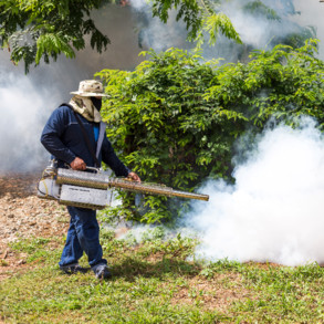 Fumigators & Pest Control Workers